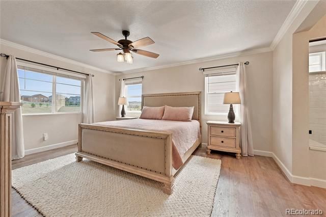 5462 Gray Wolf Lane, Castle Rock, CO 80104