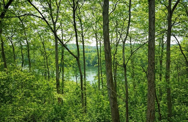 324 Riverstone Blvd, Nashville, TN 37214