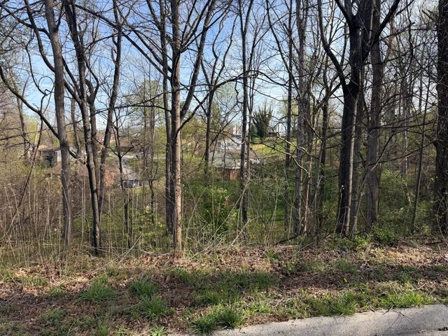 1813 Parker LN, Vinton, VA 24179