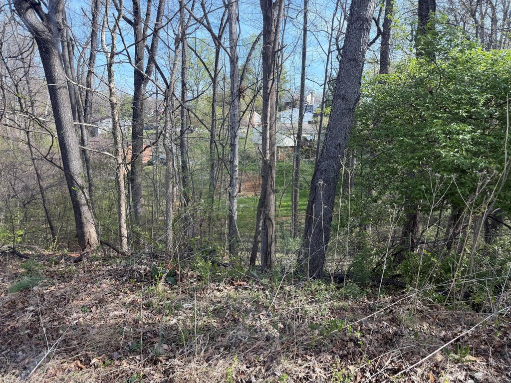 1813 Parker LN, Vinton, VA 24179
