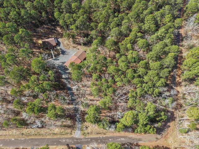 1426 COUNTY ROAD 1596, Avinger, TX 75630