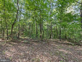 MOUNTAIN LAUREL DR, Mount Jackson, VA 22842