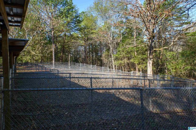 11123 COUNTY ROAD 73, Montevallo, AL 35115