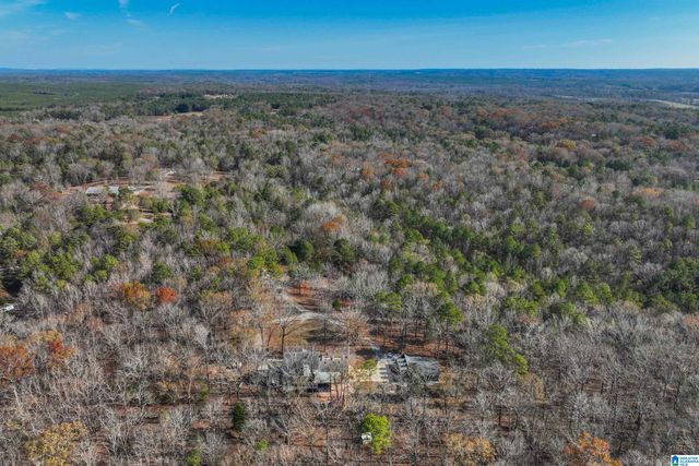 11123 COUNTY ROAD 73, Montevallo, AL 35115