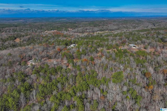 11123 COUNTY ROAD 73, Montevallo, AL 35115