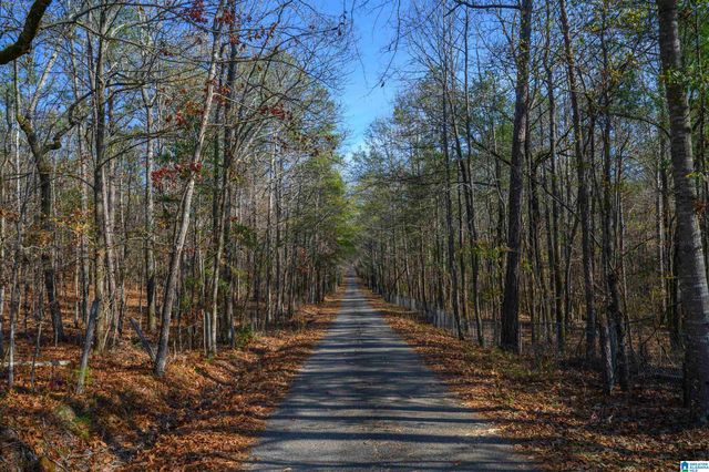11123 COUNTY ROAD 73, Montevallo, AL 35115
