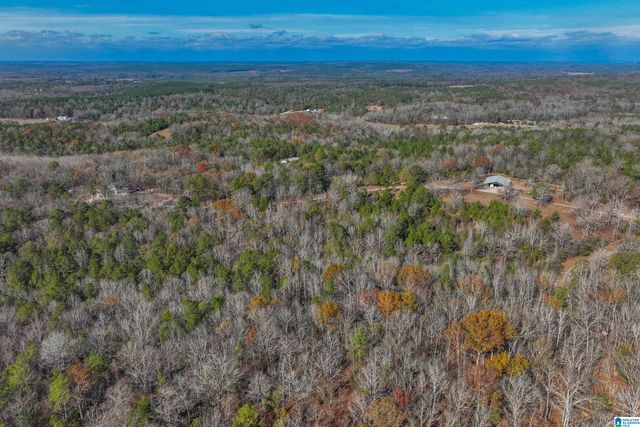 11123 COUNTY ROAD 73, Montevallo, AL 35115