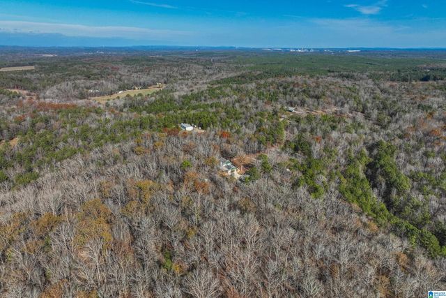 11123 COUNTY ROAD 73, Montevallo, AL 35115