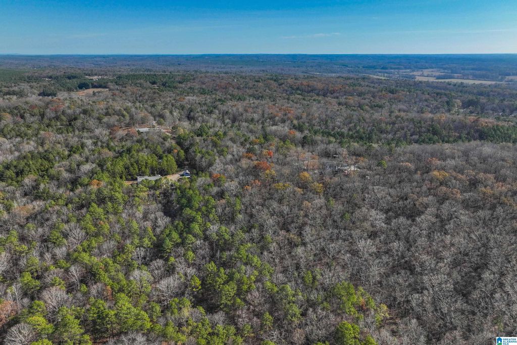 11123 COUNTY ROAD 73, Montevallo, AL 35115