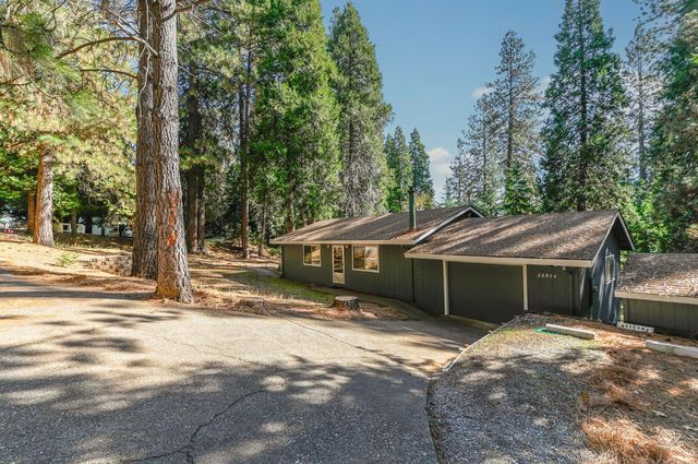 26974 Jacqueline Dr, Pioneer, CA 95666