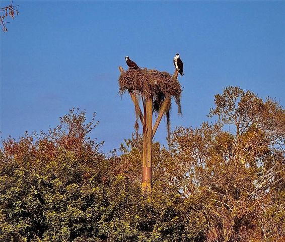 3519 E LINKS COURT, Palm Harbor, FL 34684