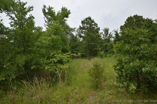 1 4503 Road, Vian, OK 74962