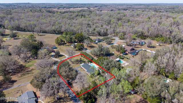 23041 Dewitt Drive, Brooksville, FL 34601