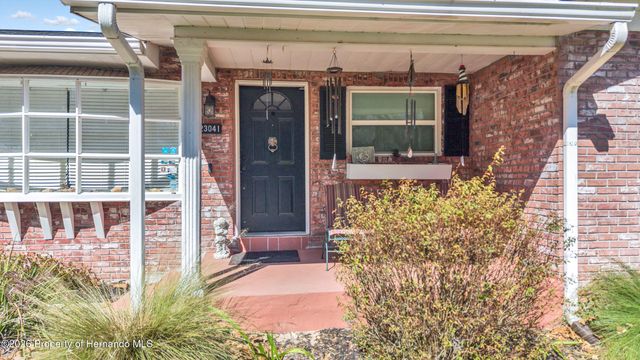 23041 Dewitt Drive, Brooksville, FL 34601