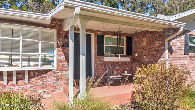 23041 Dewitt Drive, Brooksville, FL 34601