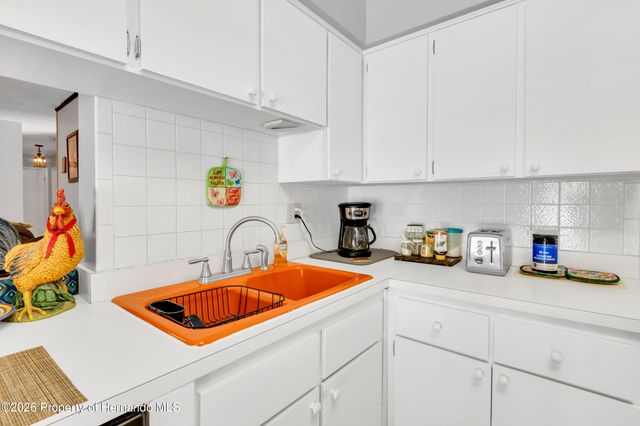 23041 Dewitt Drive, Brooksville, FL 34601