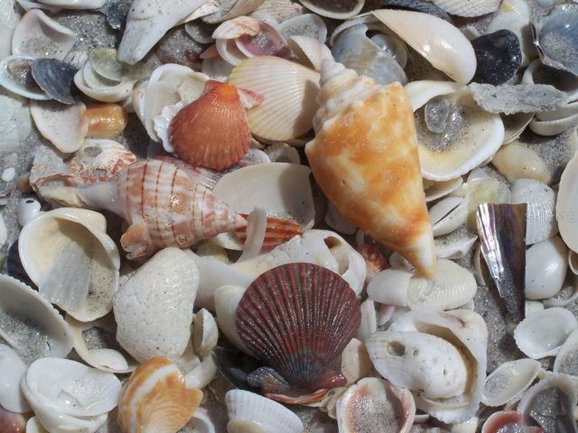 500 S GULF BOULEVARD, Placida, FL 33946