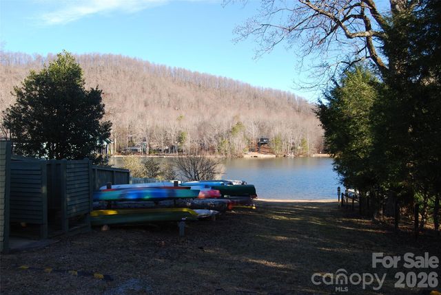 87 Pole Cat Road, Saluda, NC 28773