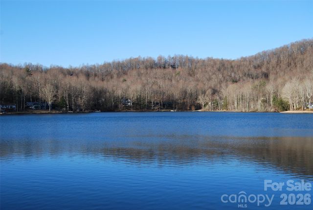 87 Pole Cat Road, Saluda, NC 28773