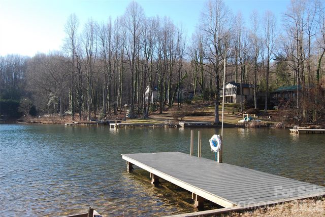 87 Pole Cat Road, Saluda, NC 28773