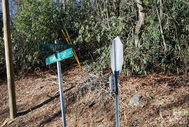 87 Pole Cat Road, Saluda, NC 28773