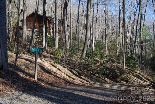 87 Pole Cat Road, Saluda, NC 28773