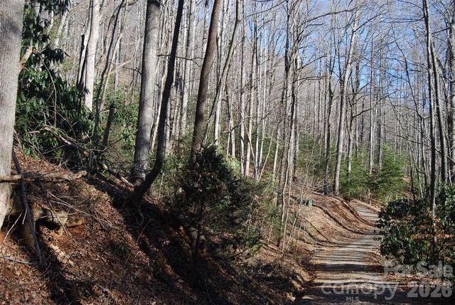 87 Pole Cat Road, Saluda, NC 28773