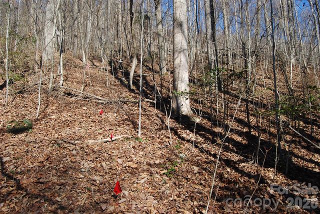 87 Pole Cat Road, Saluda, NC 28773