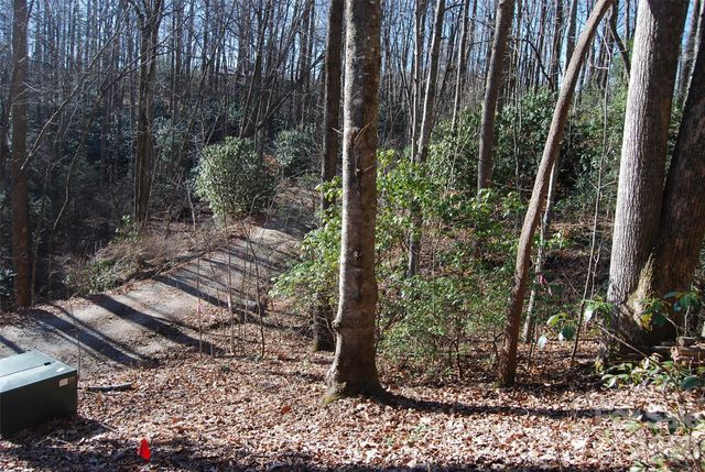 87 Pole Cat Road, Saluda, NC 28773