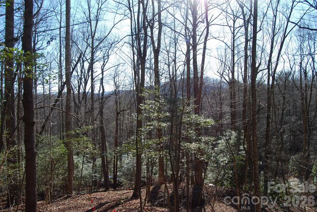 87 Pole Cat Road, Saluda, NC 28773