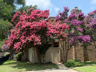8340 Fathom CIR 103, Austin, TX 78750