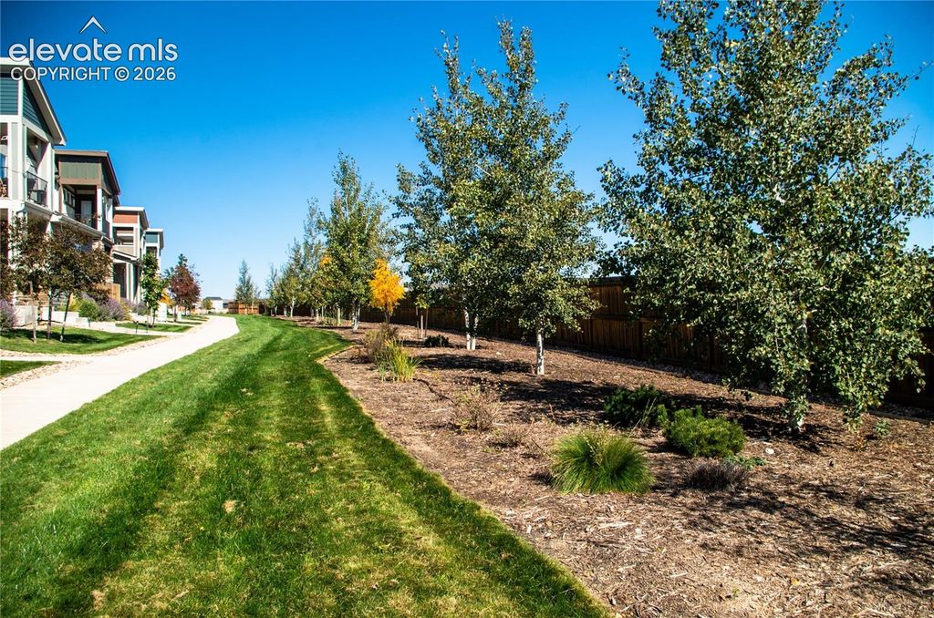 7671 Ochre View, Colorado Springs, CO 80908 — photo 3