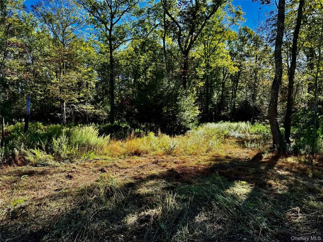 86 Falling Waters Drive, Palenville, NY 12463