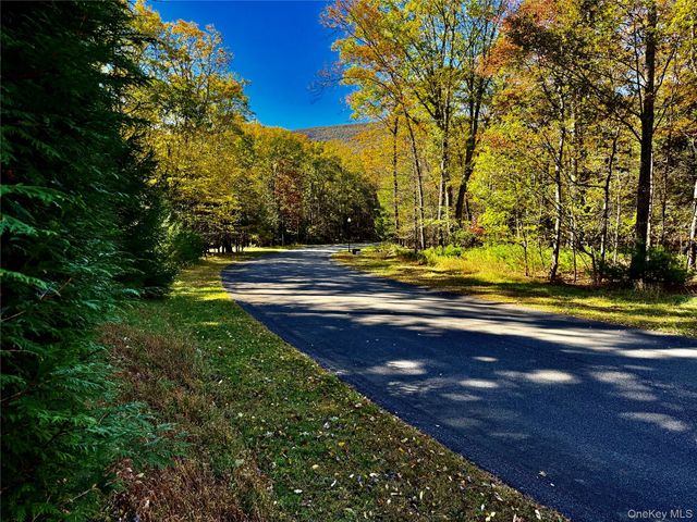 86 Falling Waters Drive, Palenville, NY 12463