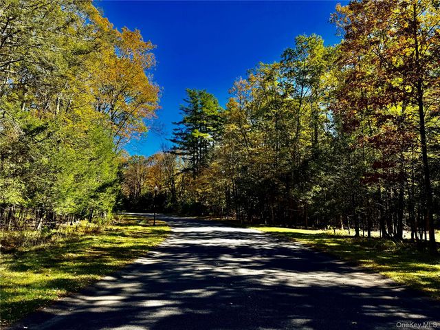 86 Falling Waters Drive, Palenville, NY 12463