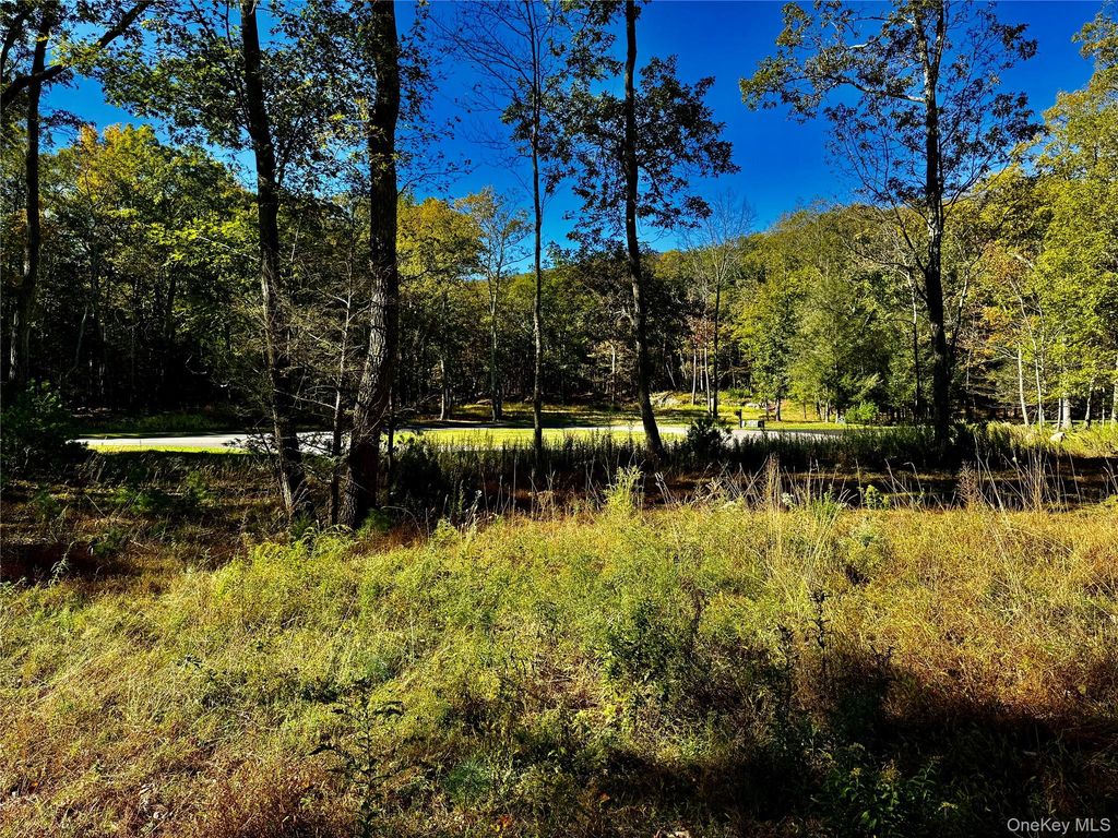 86 Falling Waters Drive, Palenville, NY 12463