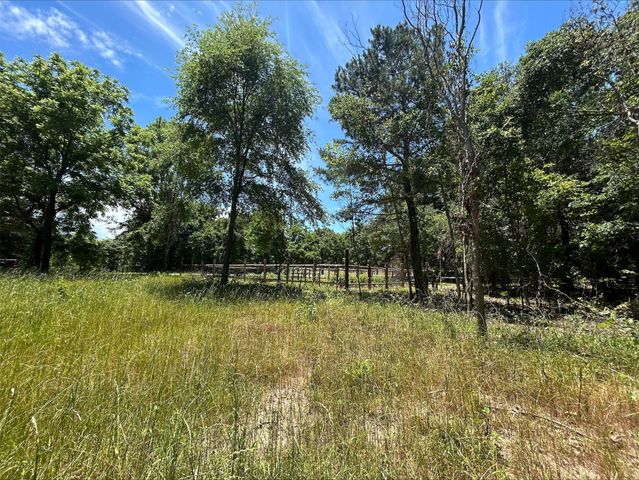 Lot TR 5B Stevenson Rd, Frankston, TX 75763