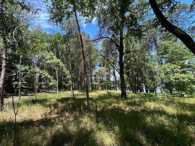 Lot TR 5B Stevenson Rd, Frankston, TX 75763
