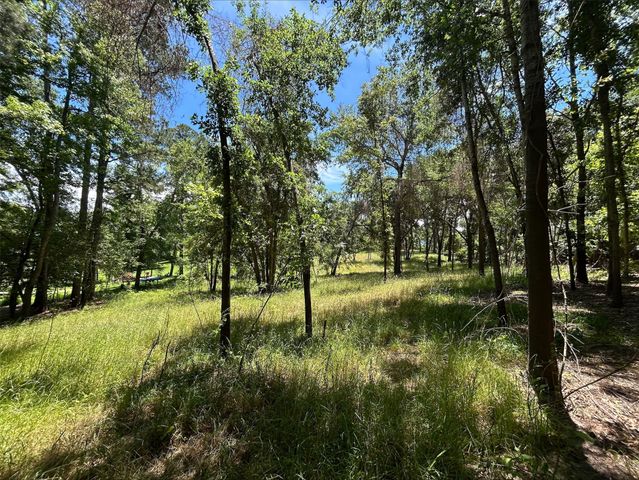 Lot TR 5B Stevenson Rd, Frankston, TX 75763