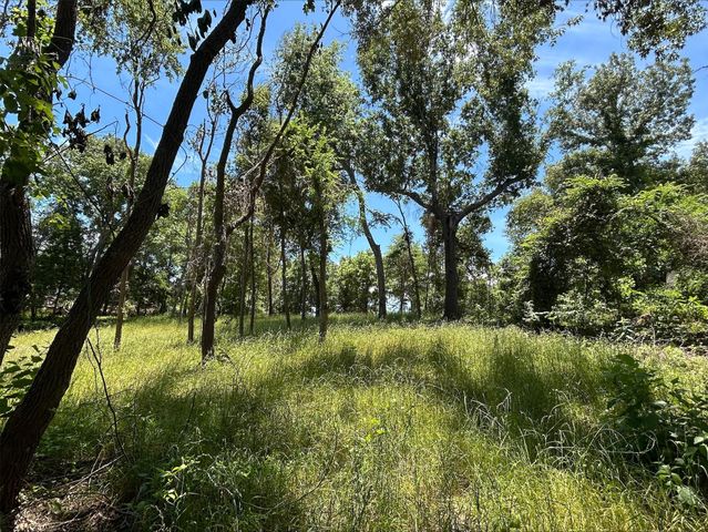 Lot TR 5B Stevenson Rd, Frankston, TX 75763