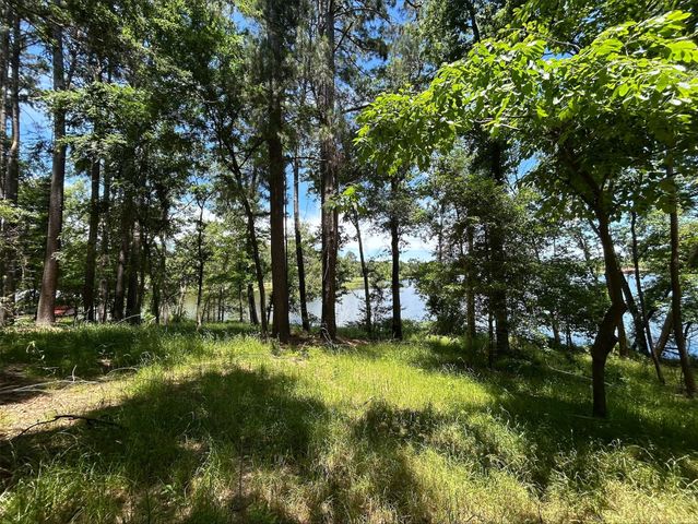 Lot TR 5B Stevenson Rd, Frankston, TX 75763