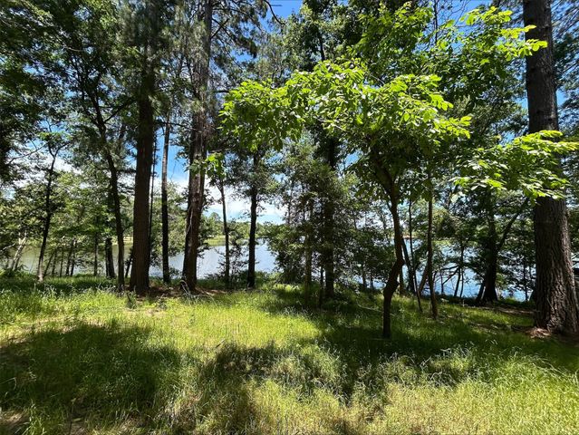 Lot TR 5B Stevenson Rd, Frankston, TX 75763