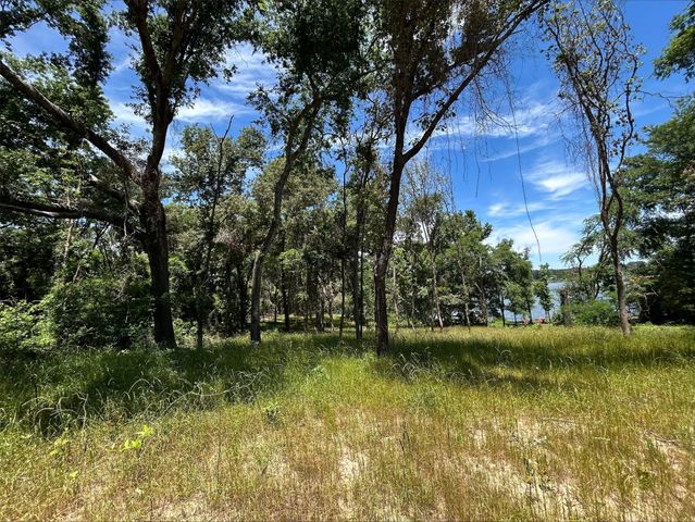 Lot TR 5B Stevenson Rd, Frankston, TX 75763