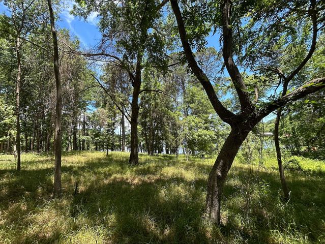 Lot TR 5B Stevenson Rd, Frankston, TX 75763