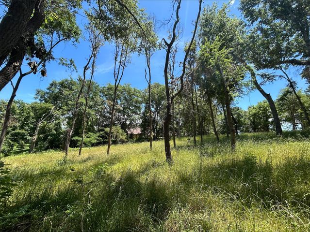 Lot TR 5B Stevenson Rd, Frankston, TX 75763