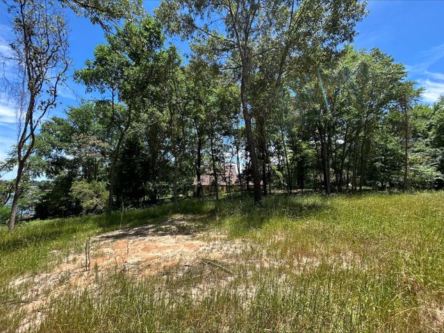 Lot TR 5B Stevenson Rd, Frankston, TX 75763