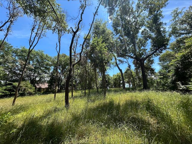 Lot TR 5B Stevenson Rd, Frankston, TX 75763