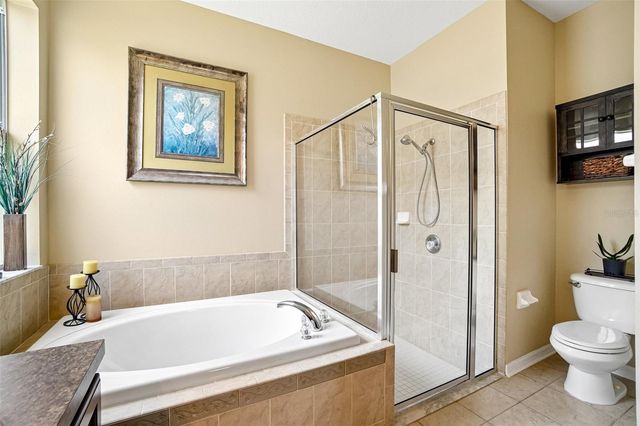 7742 BULLS HEAD DRIVE, Wesley Chapel, FL 33545