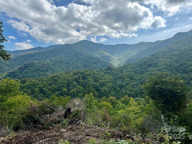0 Black Rock Creek, Cherokee, NC 28719