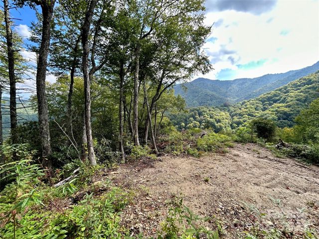 0 Black Rock Creek, Cherokee, NC 28719